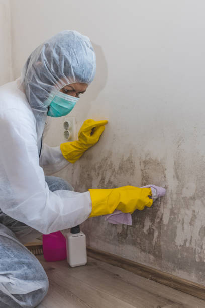 Best Commercial Mold Inspection  in Kadelphia, AR