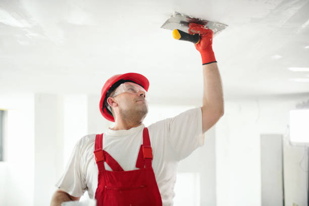 Mold Removal for HVAC Installations in Arkadelphia, AR