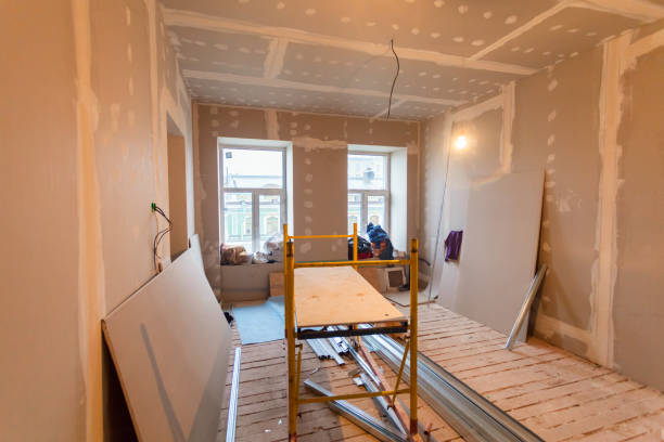 Professional Mold Removal in Arkadelphia, AR
