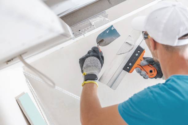 Best Mold Prevention Services  in Kadelphia, AR